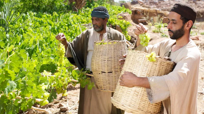 Parábola de los obreros de la viña